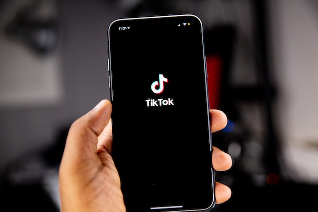 ban tiktok in india