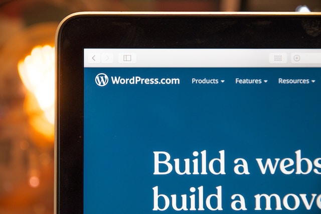Free AdSense WordPress Themes